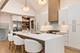 1528 S Ashland, Park Ridge, IL 60068
