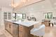 1528 S Ashland, Park Ridge, IL 60068
