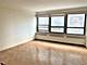 4180 N Marine Unit 1002, Chicago, IL 60613