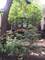 2040 W Shakespeare, Chicago, IL 60647