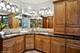 3832 W Chase, Lincolnwood, IL 60712