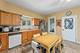 952 Larkin, Elgin, IL 60123