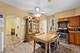 952 Larkin, Elgin, IL 60123