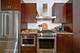 1040 W Adams Unit 365, Chicago, IL 60607