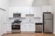 1008 W 18th Unit 101, Chicago, IL 60608