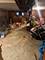 2145 N Karlov, Chicago, IL 60639