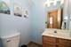 218 Partridge, Algonquin, IL 60102