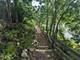 2558 W Cullom, Chicago, IL 60618
