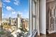 77 E Walton Unit 24E, Chicago, IL 60611