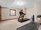 456 S Julian, Naperville, IL 60540