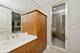 29026 N Brassie, Ivanhoe, IL 60060