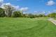 29026 N Brassie, Ivanhoe, IL 60060