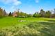 309 Dundee, Barrington, IL 60010