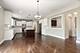20119 Brendan, Frankfort, IL 60423
