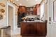 3856 N Kildare, Chicago, IL 60641