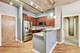 1110 W 15th Unit 218, Chicago, IL 60608