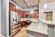 1110 W 15th Unit 218, Chicago, IL 60608