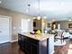 3740 Ryder, Naperville, IL 60564