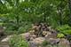 21712 N Old Farm, Deer Park, IL 60010