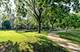 5306 S Blackstone Unit 1, Chicago, IL 60615