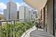 1250 N Dearborn Unit 8B, Chicago, IL 60610