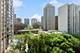 1250 N Dearborn Unit 8B, Chicago, IL 60610