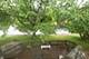 1710 Chestnut Hill, Plainfield, IL 60586