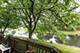 1710 Chestnut Hill, Plainfield, IL 60586