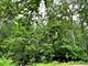 7408 Forest Oak, Mchenry, IL 60050