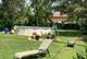 8518 Rockefeller, Brookfield, IL 60513