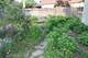 1900 Waverly, Algonquin, IL 60102