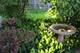 1900 Waverly, Algonquin, IL 60102