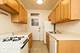 903 W Altgeld Unit 1B, Chicago, IL 60614