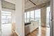 1620 S Michigan Unit 1126, Chicago, IL 60616