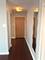 211 E Ohio Unit 1716, Chicago, IL 60611