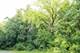704 Echo (Lot 21), Marengo, IL 60152