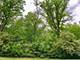 911 Echo (Lot 5), Marengo, IL 60152