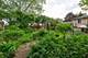 833 Summerfield, Roselle, IL 60172