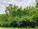 802 Echo (Lot 23), Marengo, IL 60152