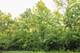 802 Echo (Lot 23), Marengo, IL 60152