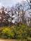 806 Echo (Lot 22), Marengo, IL 60152