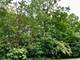 910 Echo (Lot 6), Marengo, IL 60152