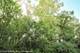 910 Echo (Lot 6), Marengo, IL 60152