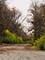910 Echo (Lot 6), Marengo, IL 60152