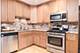 1023 Rene, Park Ridge, IL 60068