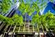 233 E Erie Unit 1508, Chicago, IL 60611