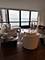 900 N Lake Shore Unit 1307, Chicago, IL 60611