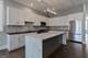 562 W 18th Unit 3E, Chicago, IL 60616
