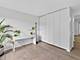 1143 S Plymouth Unit 407, Chicago, IL 60605