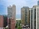 33 E Cedar Unit 6B, Chicago, IL 60611
